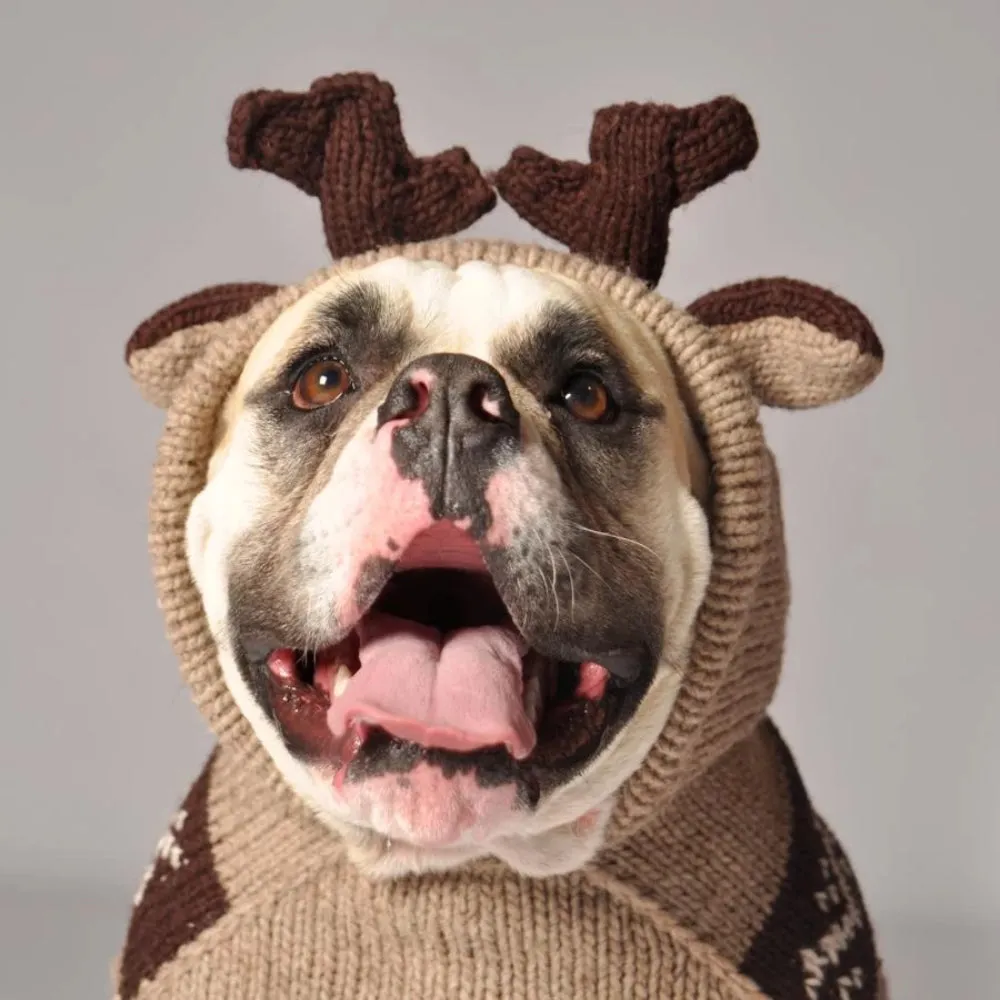 Moose Hoodie Dog Sweater